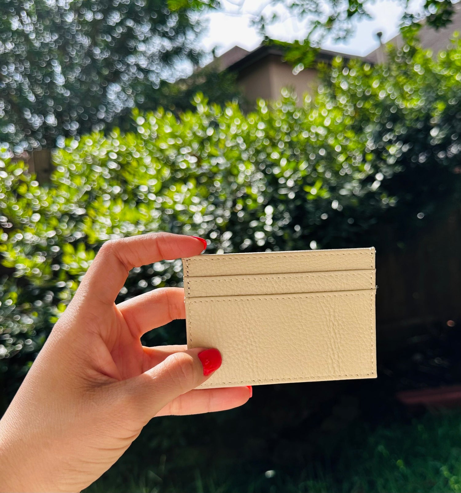 ClaudiaG Lara Wallet