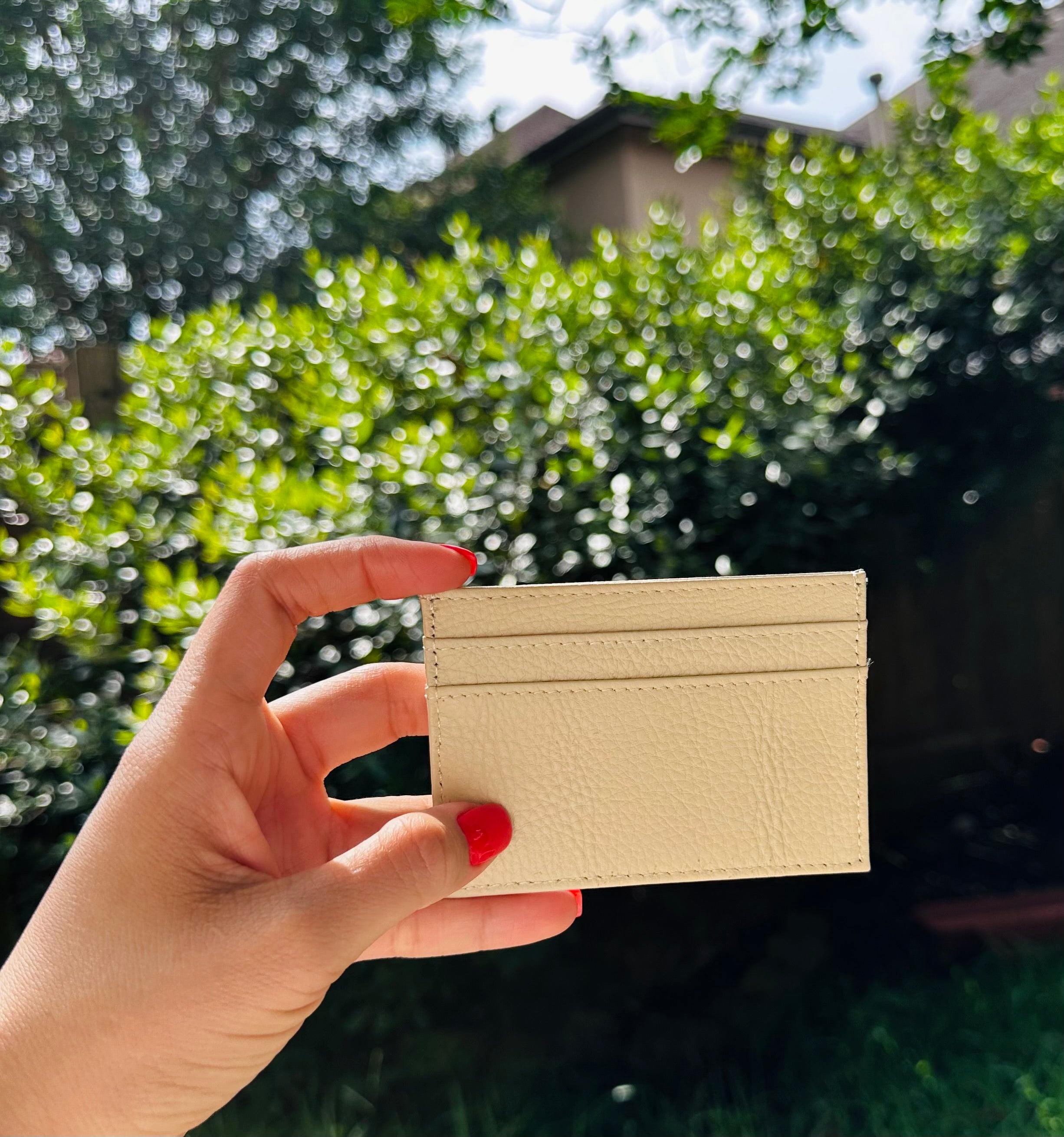 ClaudiaG Lara Wallet